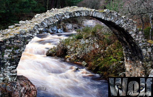 09 Carrbridge Copyright Villayat Sunkmanitu.jpg